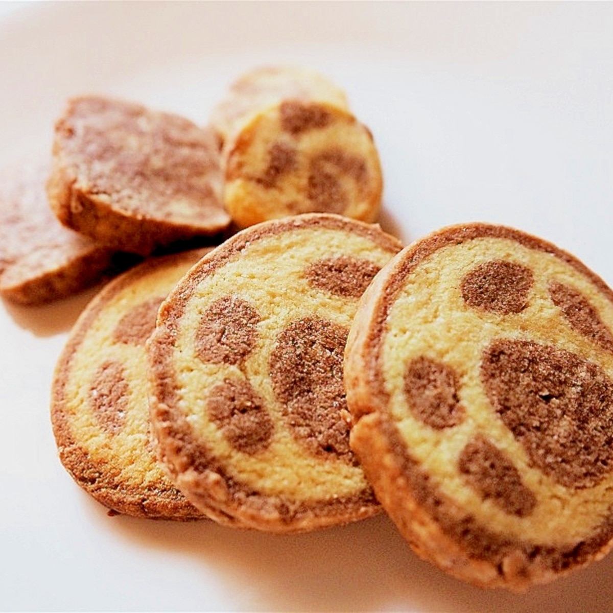 肉球 アイスボックスクッキー レシピ 作り方 By たまりんど73 楽天レシピ 肉球 アイスボックスクッキー レシピ 作り方 By たまりんど73 楽天レシピ